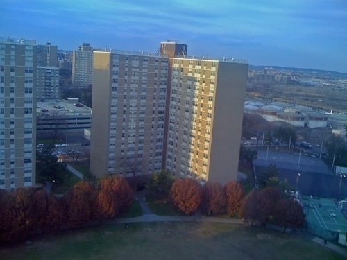 View from my mother's elevator lobby at Starrett City of the courtyard and 