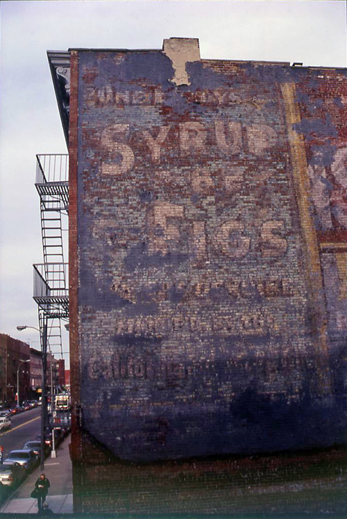 Syrup of Figs - Greenpoint, Brooklyn